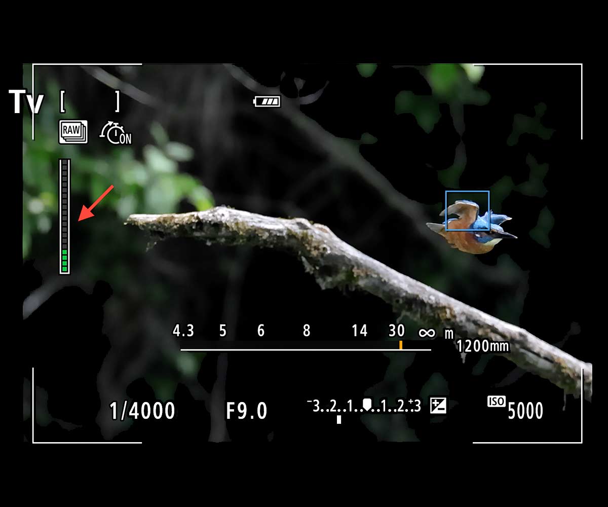 Canon Camera