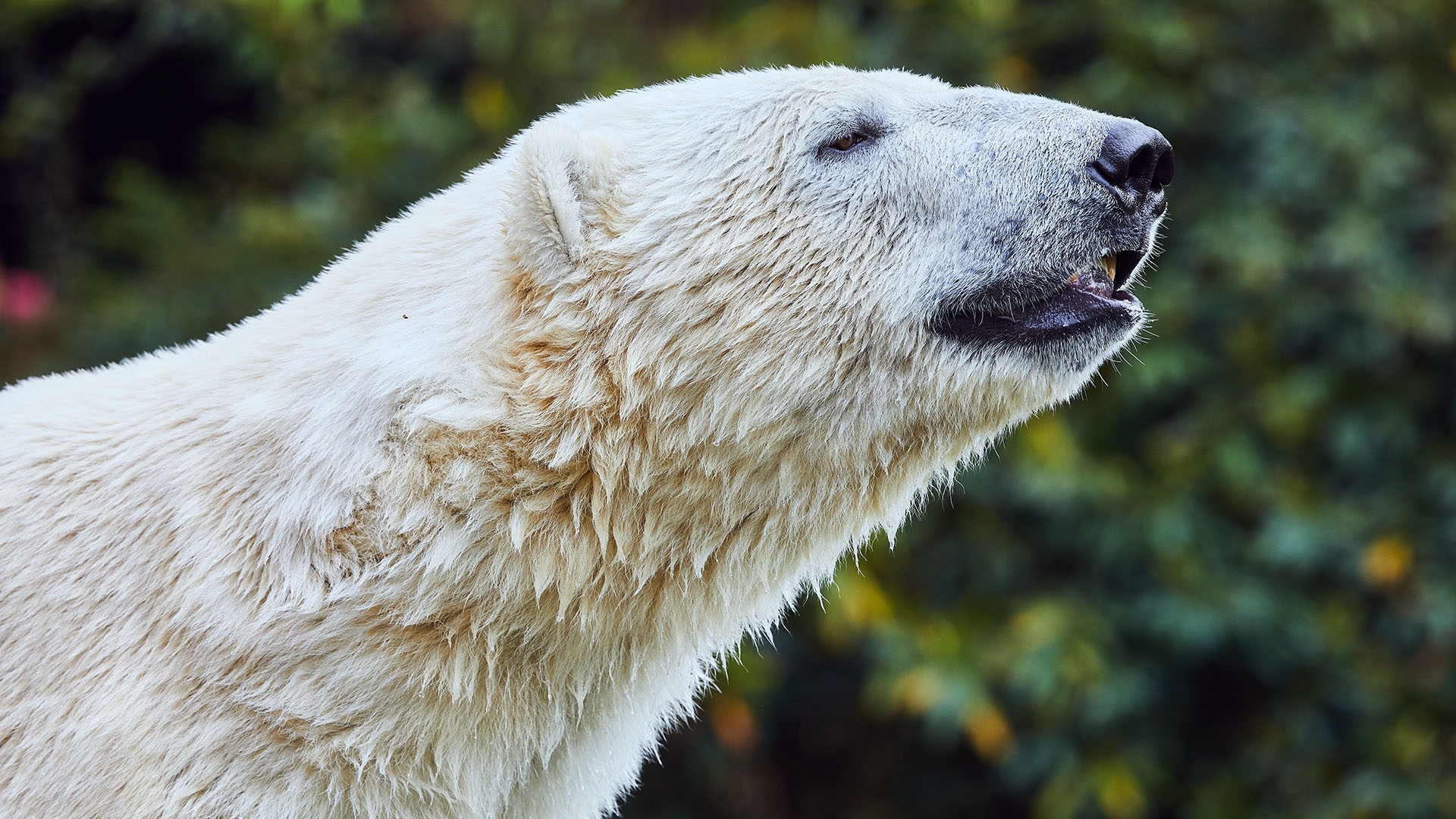 Einsteiger im Zoo - Canon Academy