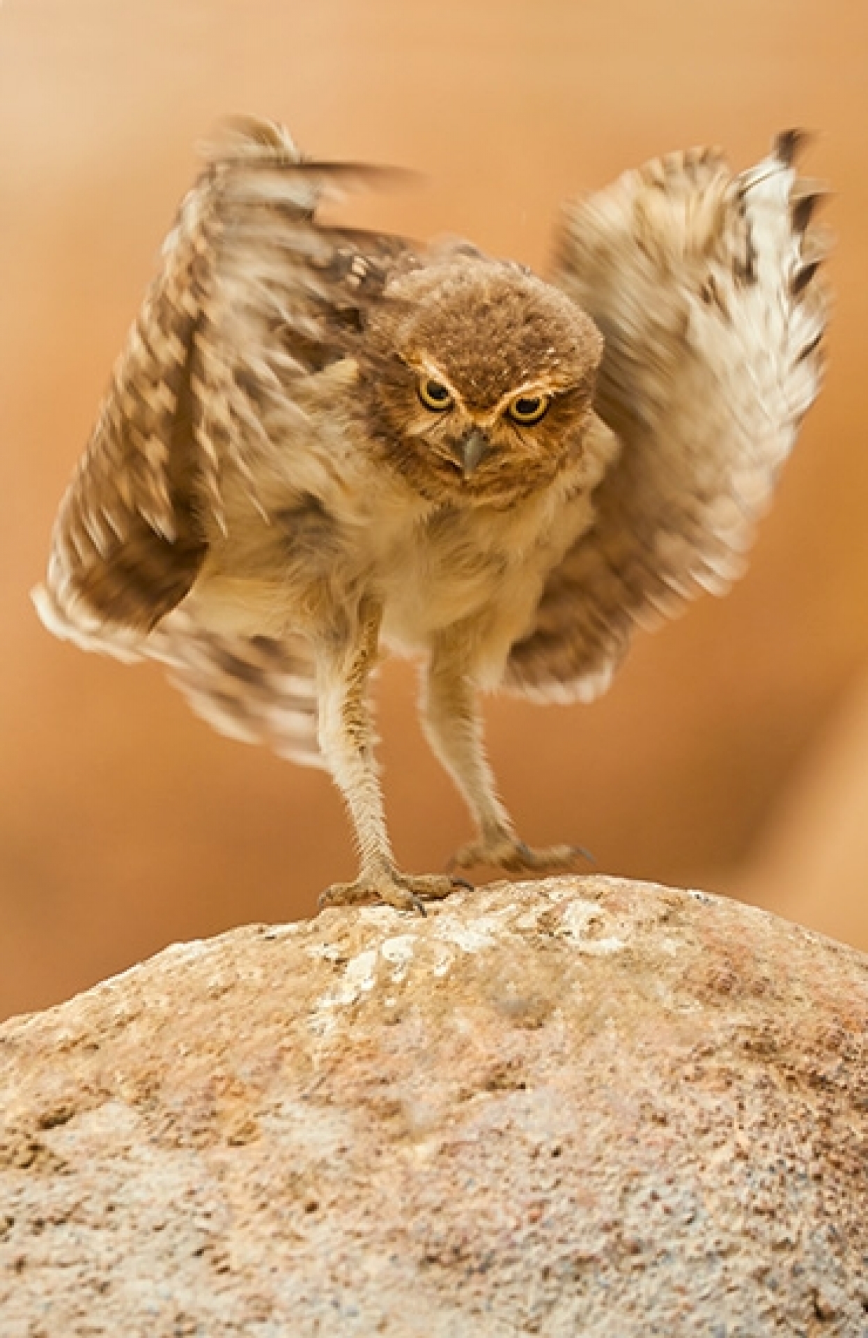 Tierfotografie im Burgers Zoo - Canon Academy Natur-, Tier- und Makro