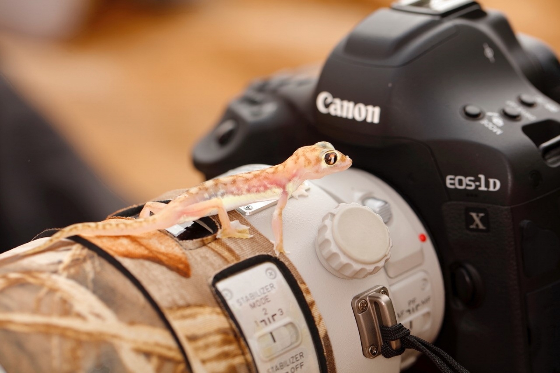 Fotowalk durch Obersdorf für Einsteiger mit dem Canon EOS System - Canon Academy Landschaft- und Reise