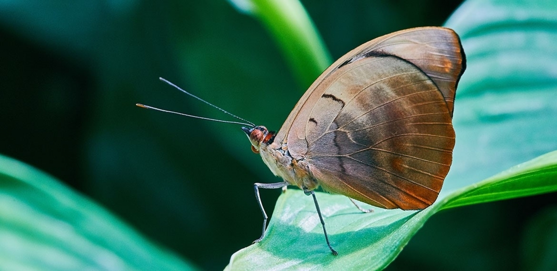 Makrofotografie im Maximilianpark Hamm - Canon Academy Natur-, Tier- und Makro