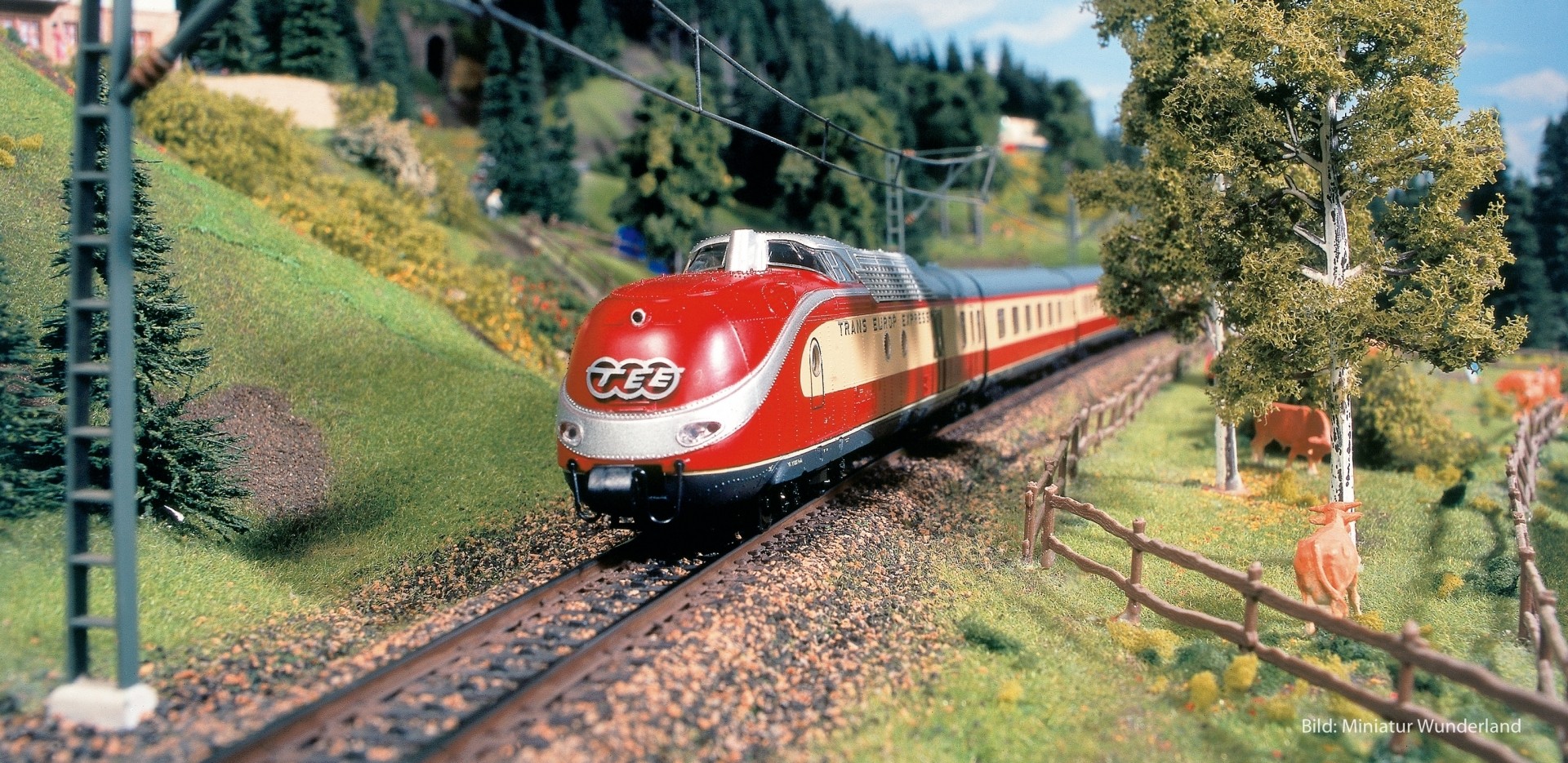 In einer Nacht um die Welt - Fotografie im Miniatur Wunderland Hamburg - Canon Academy Natur-, Tier- und Makro
