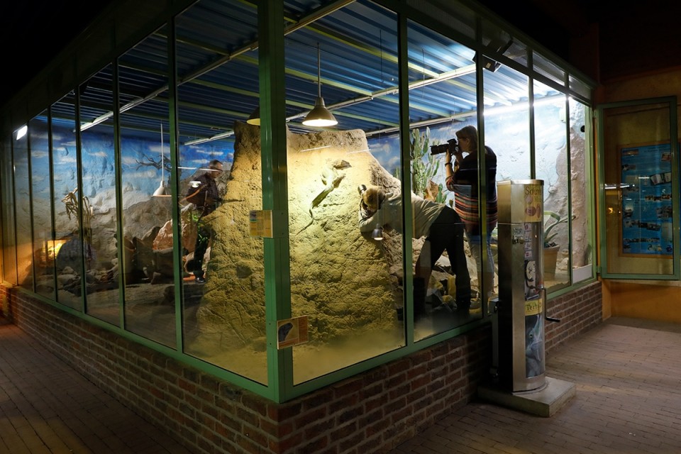 Reptilien- und Makrofotografie im TerraZoo Rheinberg - Canon Academy