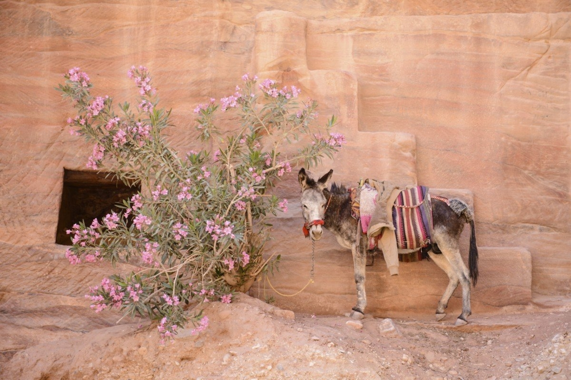 Jordanien - Canon Academy Landschaft- und Reise
