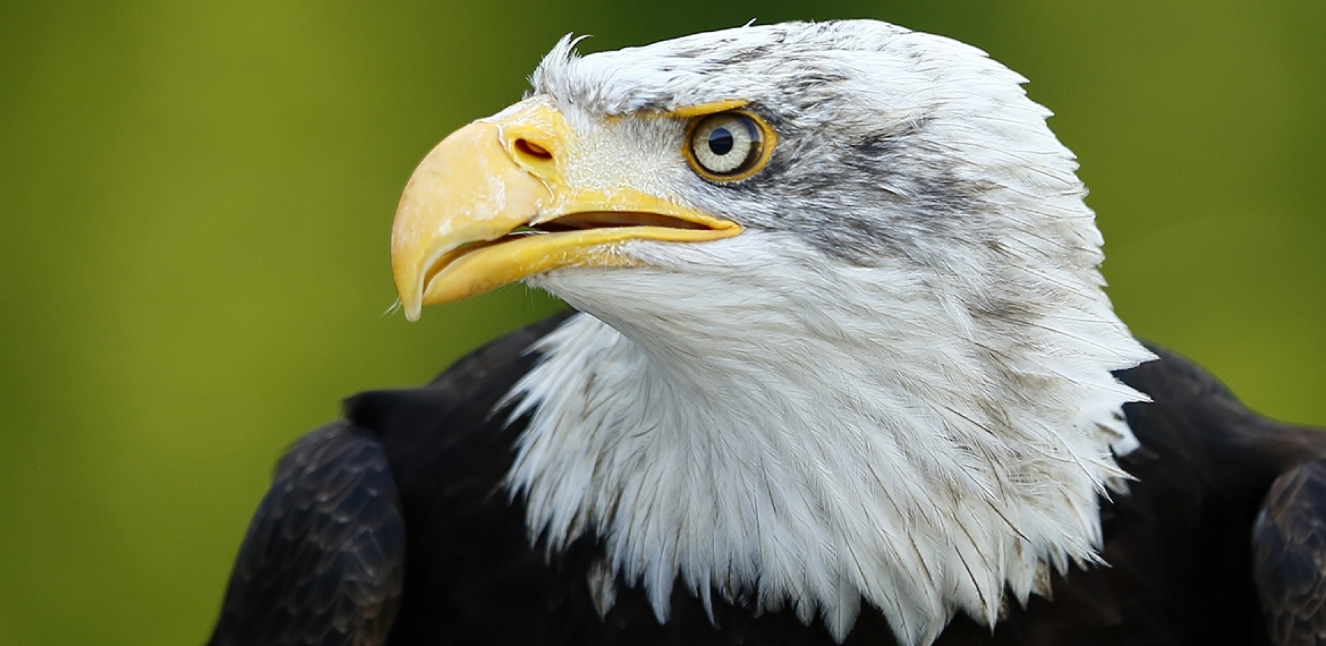 Tierfotografie in Poing - Canon Academy