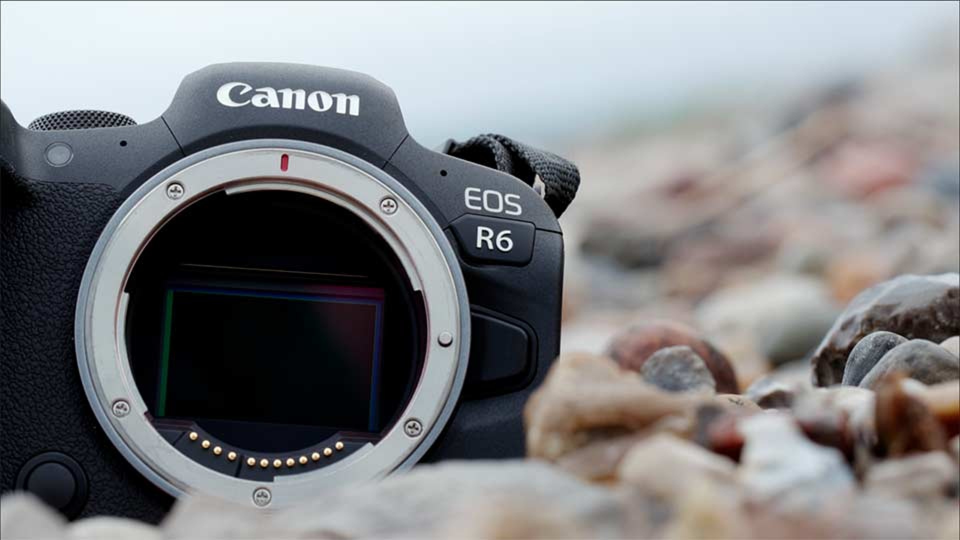Die EOS R6 mit kamerainterner Bildstabilisierung, EOS R6, IBIS, Bildstabilisator