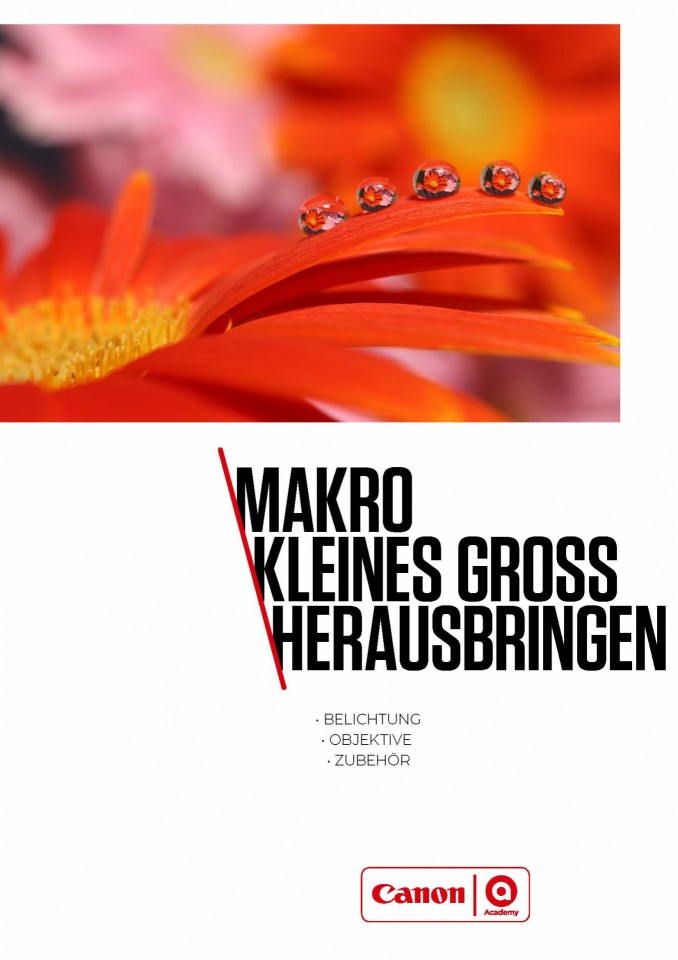 Leitfaden zur Makrofotografie