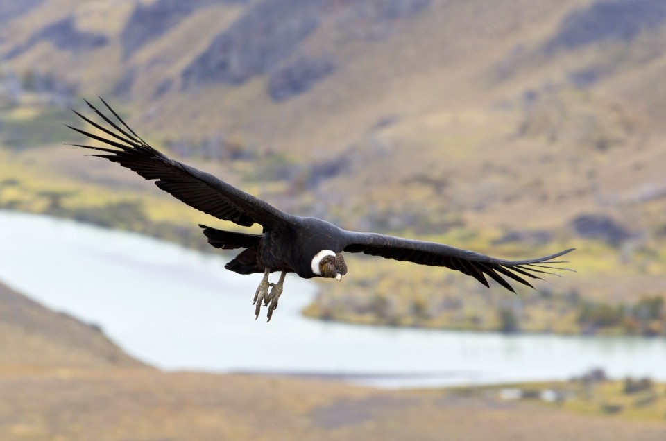 Fotosafari Patagonien mit CANON-Ambassador Thorsten Milse - Canon Academy Landschaft und Reise