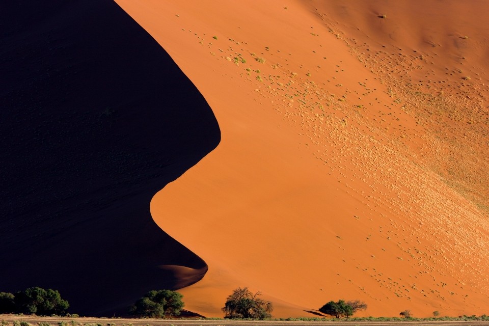 Fotosafari Namibia mit CANON-Ambassador Thorsten Milse - Canon Academy