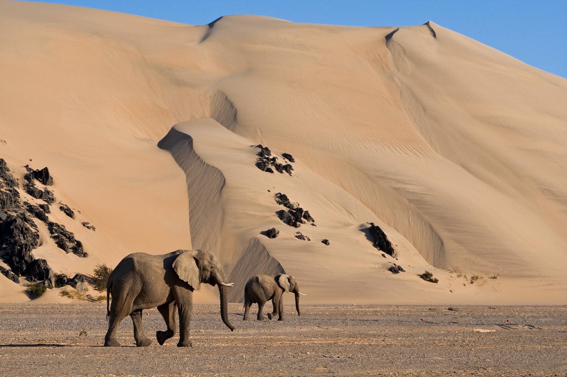 Fotosafari Namibia mit CANON-Ambassador Thorsten Milse - Canon Academy
