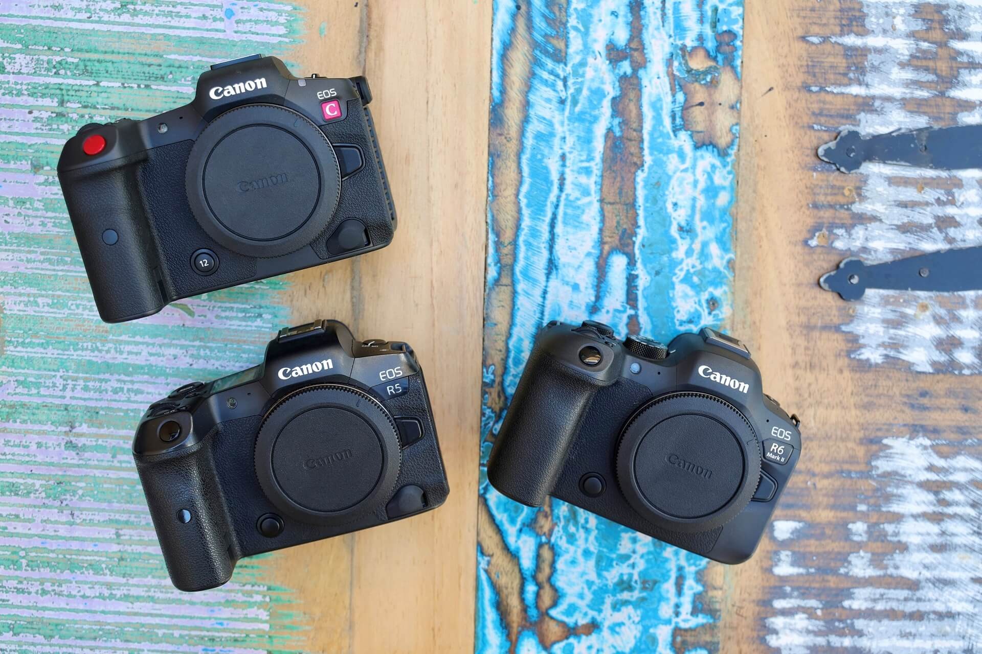 Canon Eos R5 C Im Praxistest | Canon EOS R5 C im Test: Profikamera mit ...