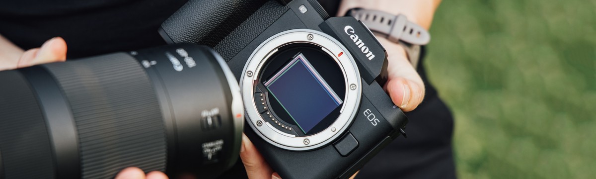 Webinar: EOS R8 Mark II: Der kompakte und kompromisslose Einstieg ins ...