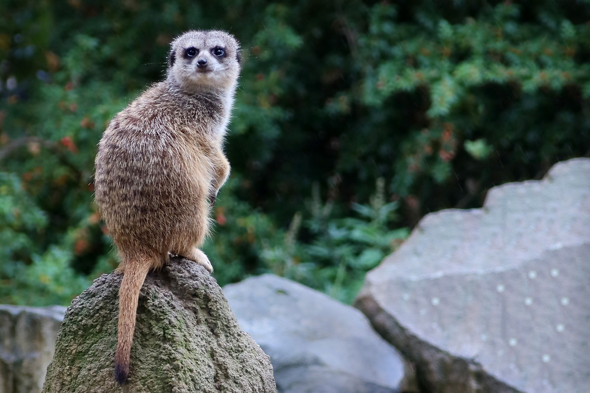 EOS Explorer: Das EOS-System in der Praxis – Tier- und Makrofotografie im Krefelder Zoo - Canon Academy