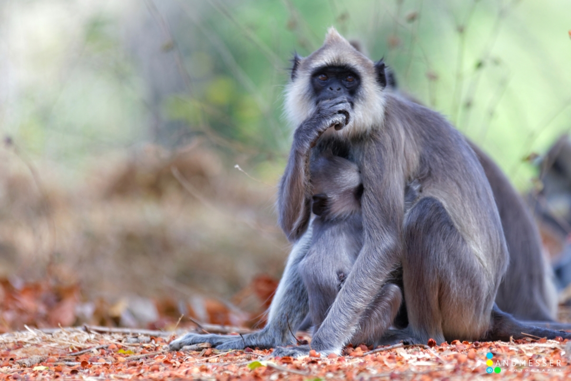 Opel Zoo - Canon Academy Natur-, Tier- und Makro