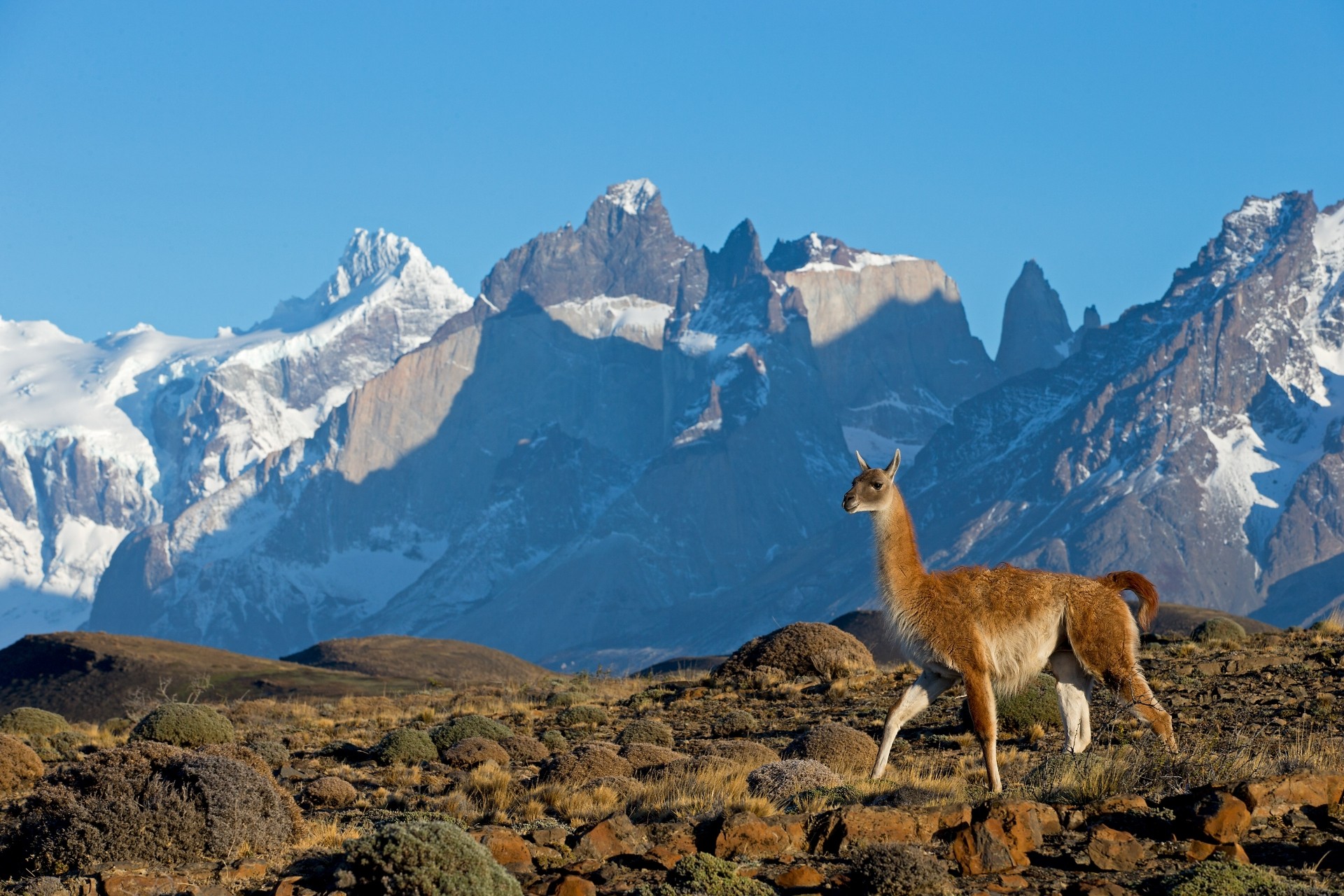 Fotosafari Patagonien mit CANON-Ambassador Thorsten Milse - Canon Academy Landschaft und Reise