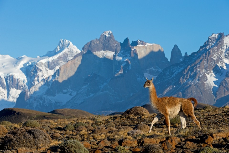 Fotosafari Patagonien mit CANON-Ambassador Thorsten Milse - Canon Academy Landschaft und Reise