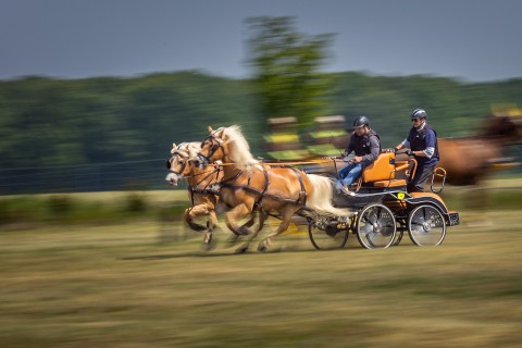 Wettbewerb Gewinner Bild - Canon Academy
