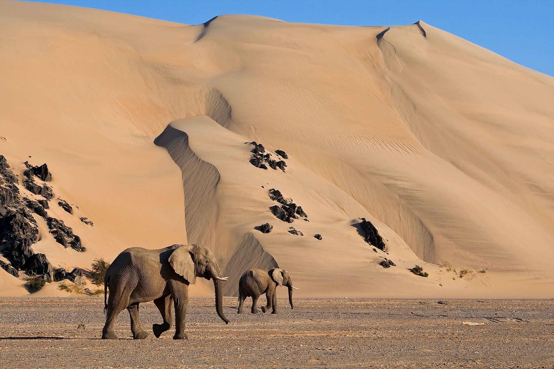 Namibia - Canon Academy Landschaft- und Reise