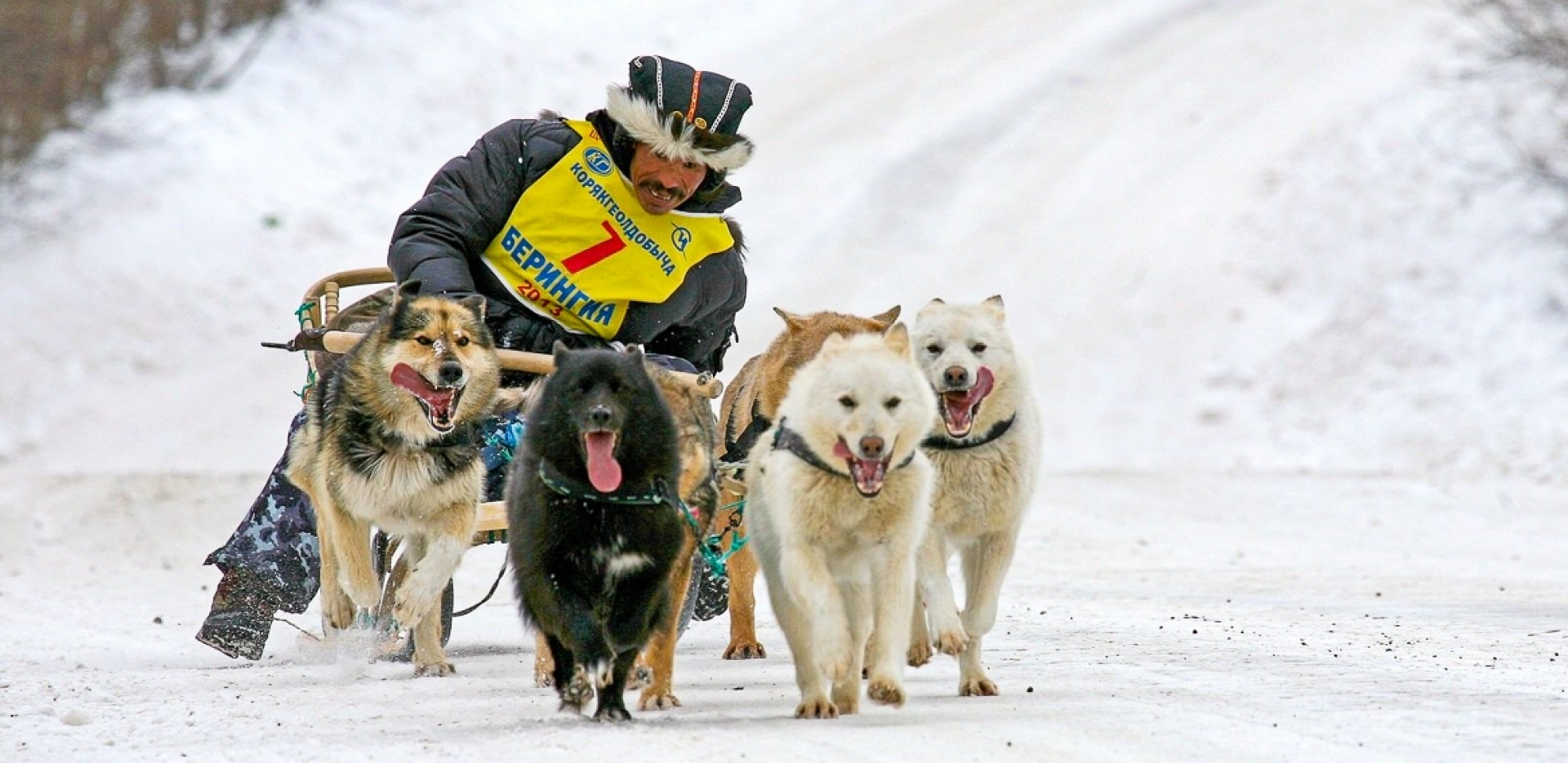 Schlittenhunderennen Bad Hindelang - Canon Academy Sport