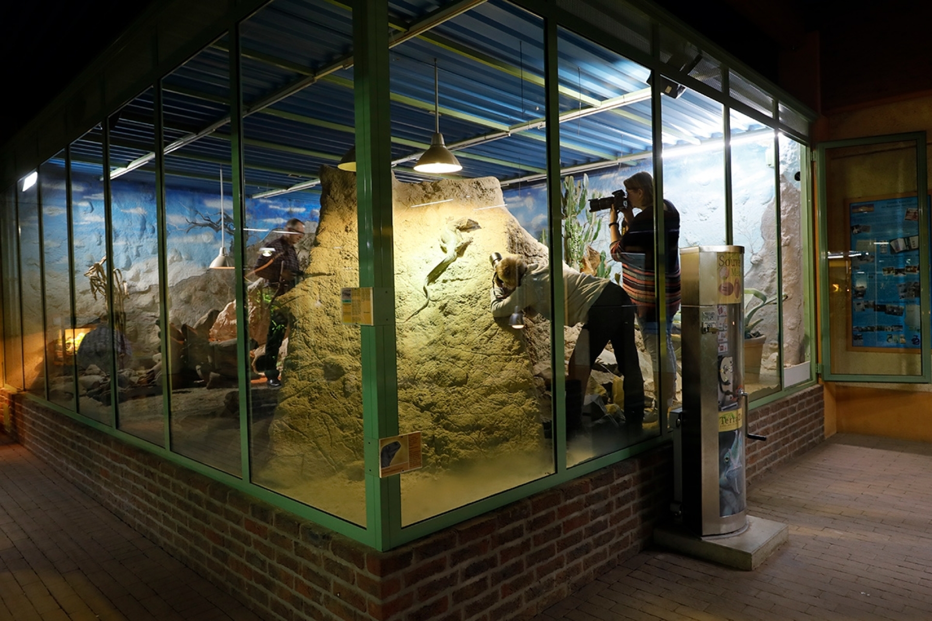 Reptilien- und Makrofotografie im TerraZoo Rheinberg - Canon Academy