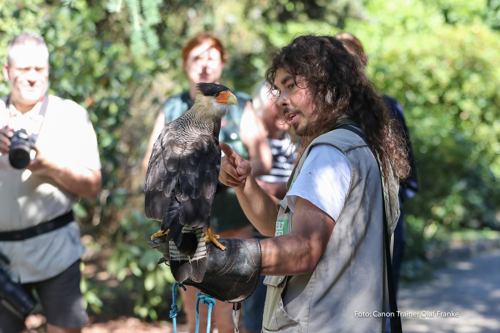 Vogelflug im Weltvogelpark Walsrode - Schwerpunkt AF-System - Canon Academy Natur-, Tier- und Makro
