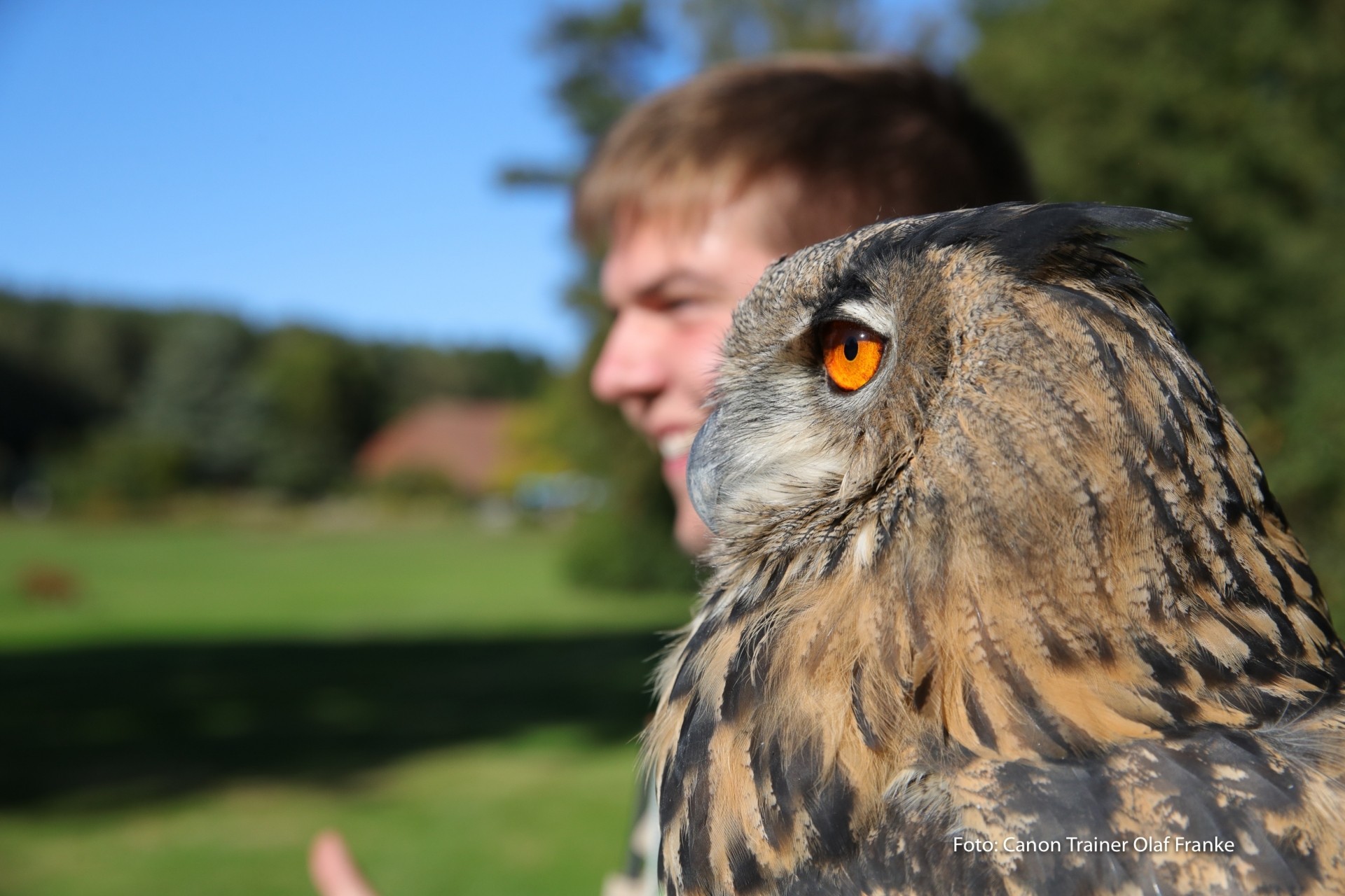 Vogelflug im Weltvogelpark Walsrode - Schwerpunkt AF-System - Canon Academy Natur-, Tier- und Makro