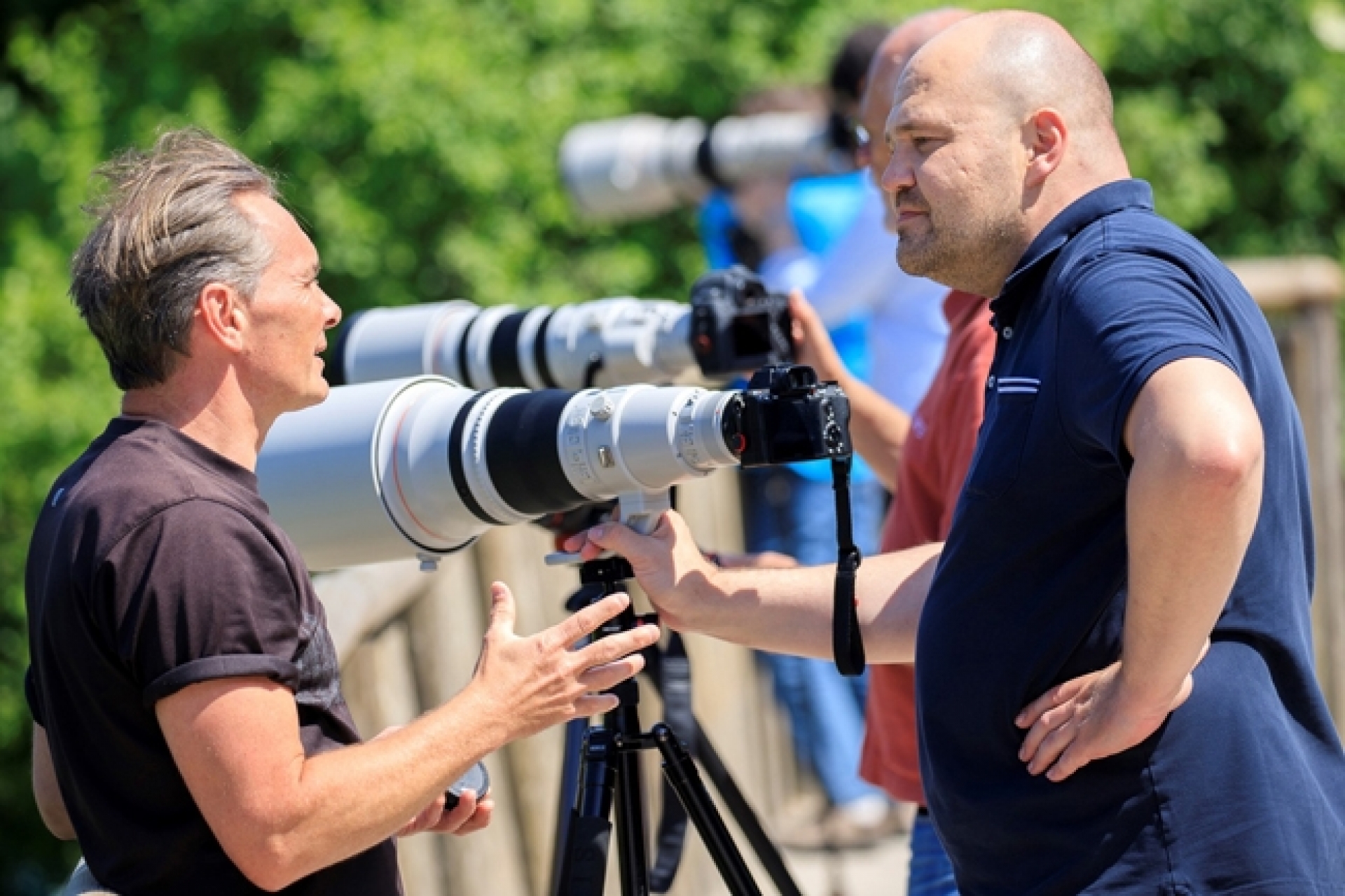 Tierfotografie - Canon Academy Natur-, Tier- und Makro