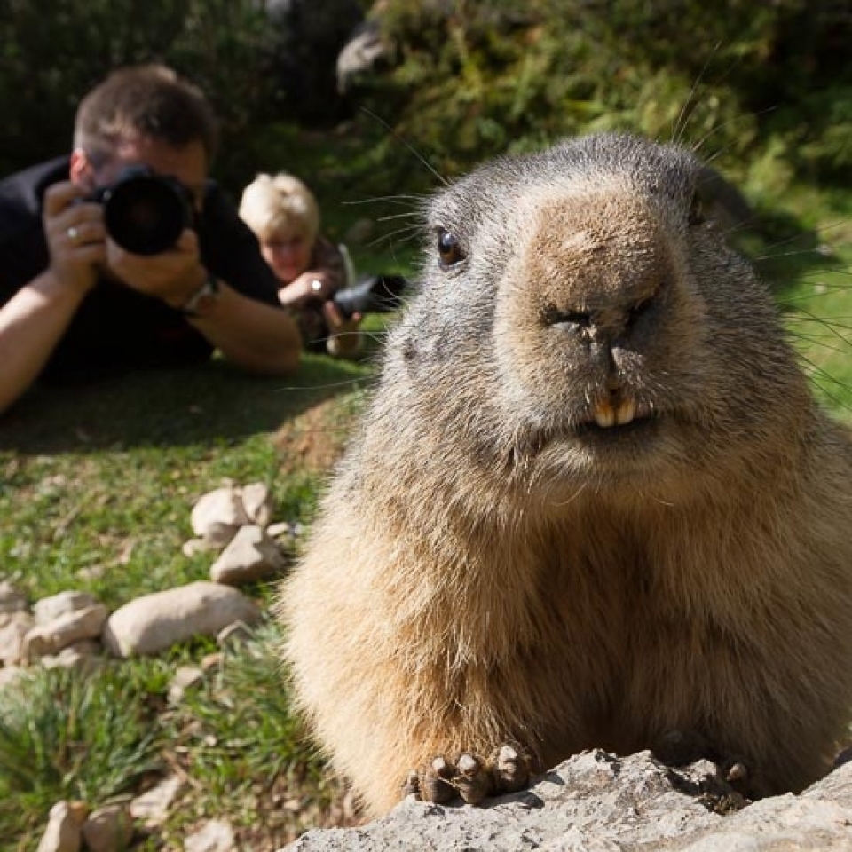 Fotoworkshop Ramsau – Naturfotografie am Fuße des Dachsteins - Canon Academy Landschaft- und Reise